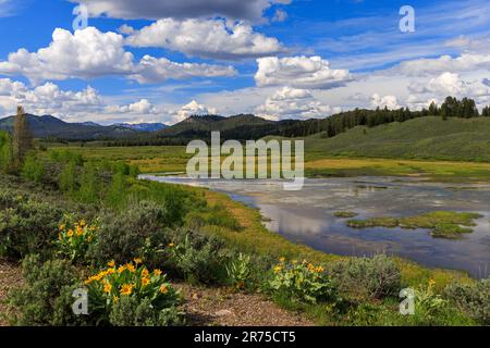 Blick auf den Christian Pond im Grand Teton National Park, Teton County, Wyoming, USA. Diese malerische Gegend ist nur eine kurze Wanderung von der Jackson Lake Lodge entfernt. Stockfoto