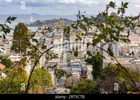 Lombard Street ist die unpraktische Straße voller steiler Hänge. Das Hotel liegt zwischen Hyde und Leavenworth in San Francisco, bekannt als die steilste Straße. Stockfoto