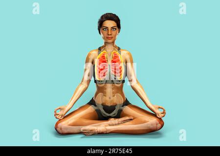 Atemregulation und Atmung beim Yoga, Computerdarstellung. Anatomie der Lotus-Yoga-Position oder Padmasana. Erholung und Prävention von Covid-19 Stockfoto