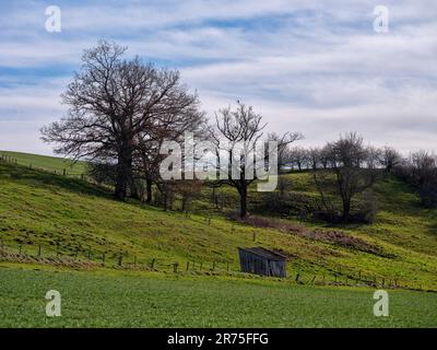 Moraine Hill bei Apfeldorf Stockfoto