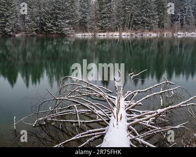 Lech kurz vor dem Reservoir an Sperrstall 19 Stockfoto