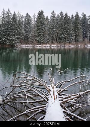 Lech kurz vor dem Reservoir an Sperrstall 19 Stockfoto