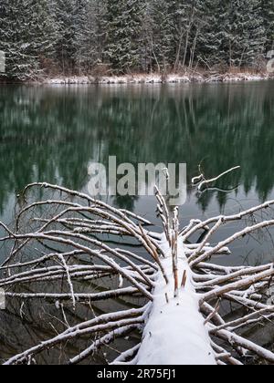 Lech kurz vor dem Reservoir an Sperrstall 19 Stockfoto