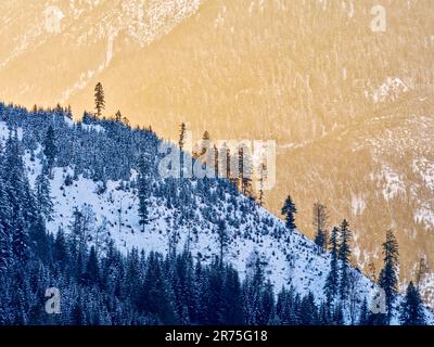 Winter in Bschlabser Valley, Tirol Stockfoto