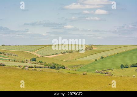 Blick nach Norden vom Cissbury Ring über Stump Bottom und Canada Bottom im South Downs National Park, West Sussex, Großbritannien. Stockfoto