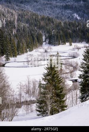 Der rote Valepp schlängelt sich durch das Valepp-Tal, Schliersee - Berge, County Miesbach, Oberbayern, Bayern, Deutschland, Europa Stockfoto