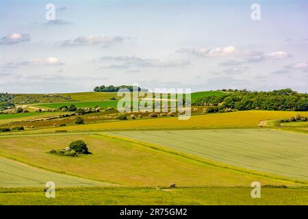 Der Chanctonbury Ring (eine Baumkeule an der Skyline) aus Sicht des offenen Hinterlands, vom Cissbury Ring - South Downs National Park, West Sussex, Großbritannien. Stockfoto