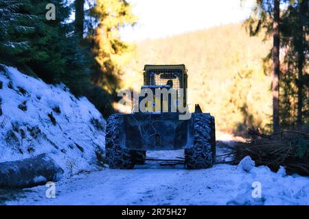 Ein Traktor, der auf einem schneebedeckten Pfad fährt, umgeben von einer Winterlandschaft aus Bäumen und Sträuchern Stockfoto