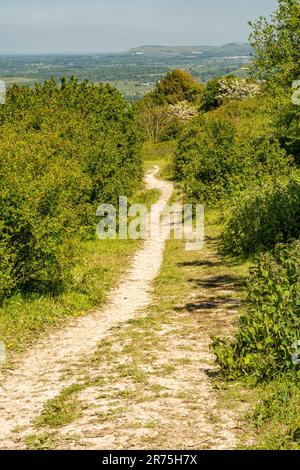 Ein Fußweg auf dem Gipfel des Steyning Round Hill führt hinunter nach Steyning im South Downs National Park, West Sussex, Südengland, Großbritannien. Stockfoto