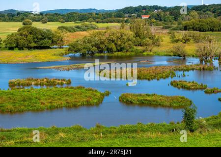 Das Biotop Beeden bei Homburg, Bliesgau, Saarland, Deutschland Stockfoto