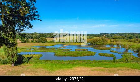 Das Biotop Beeden bei Homburg, Bliesgau, Saarland, Deutschland Stockfoto