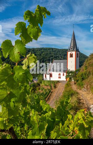 St. John's Church in Hatzenport, Moseltal, Mosel, Rheinland-Pfalz, Deutschland Stockfoto