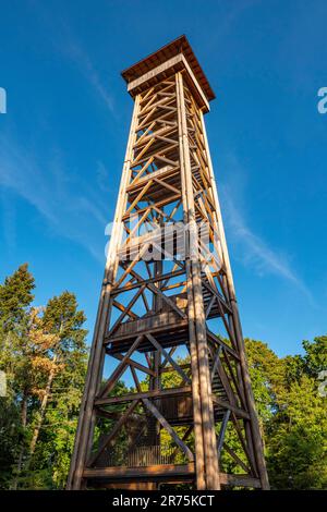 Goetheturm im Stadtwald Sachsenhausen, Frankfurt am Main, Hessen Stockfoto