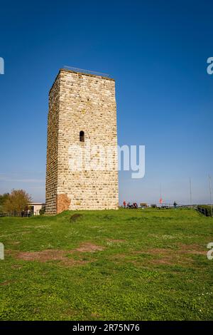 Schwabsburg in Rheinhessen in der gleichnamigen Stadt, Kaiserburg der Staufers aus dem 12. Jahrhundert Stockfoto