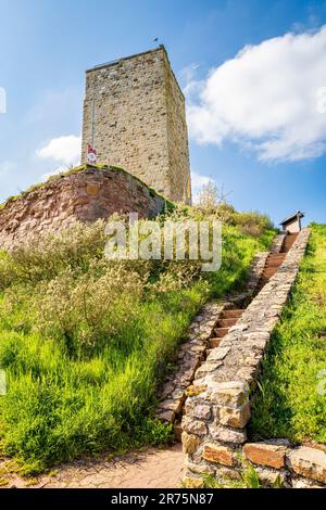 Schwabsburg in Rheinhessen in der gleichnamigen Stadt, Kaiserburg der Staufers aus dem 12. Jahrhundert Stockfoto