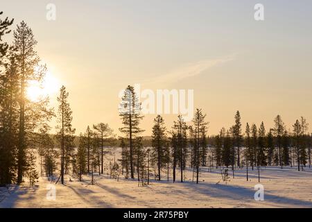 Finnland, Lappland, Winter, Landschaft Stockfoto