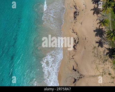 Nordamerika, Karibik, Großantillen, Hispaniola, Dominikanische Republik, Provinz Sama, Halbinsel Sama, Las Galeras, Caribbean Dream Beach in Las Galeras Stockfoto
