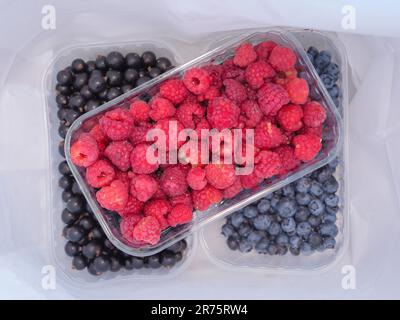 Drei Kunststoffbehälter mit Himbeeren, Heidelbeeren und schwarzer Johannisbeere in einer weißen Papiertüte. Saisonales Speiseeinkauf und gesundes Esskonzept. Stockfoto