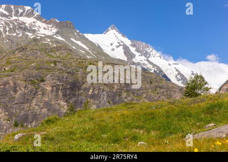 Bergwiese im Sommer mit Blick auf den schneebedeckten Großglockner unter blauem Himmel Stockfoto