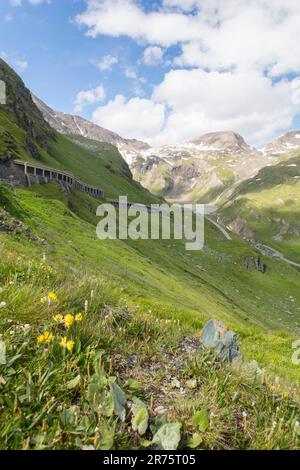 Großglockner High Alpine Road, Blick entlang der Galerie zum Nassfeld Reservoir Stockfoto