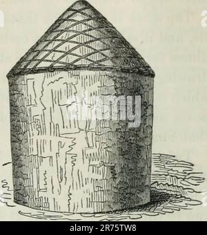 "Elemente der praktischen Landwirtschaft; Erfassung des Pflanzenanbaus, der Haltung der Haustiere und der Wirtschaft des Betriebs" (1838) Stockfoto