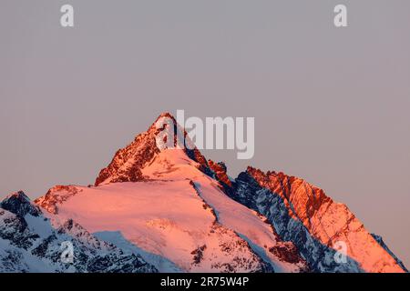 Sonnenaufgang auf Großglockner, Glockner-Gipfel, Alpenglow Stockfoto