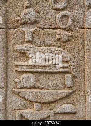 Detaildarstellung einer Hieroglyphe, die ein Krokodil im Bas-Relief darstellt. Tempel Kom Ombo, Assuan-Gouvernement, Ägypten Stockfoto