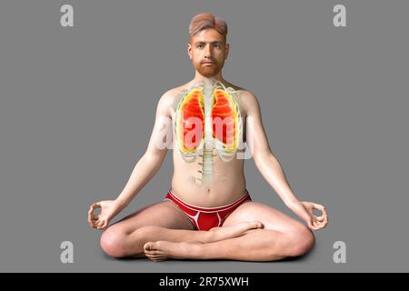 Atemregulation und Atmung beim Yoga, Computerdarstellung. Anatomie der Lotus-Yoga-Position oder Padmasana. Erholung und Prävention von Covid-19 Stockfoto