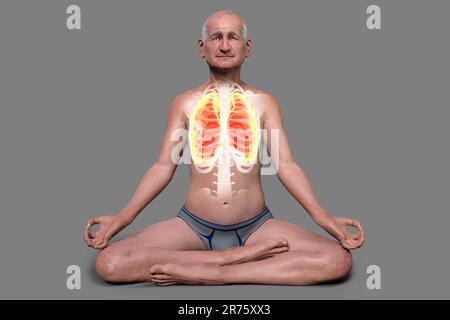 Atemregulation und Atmung beim Yoga, Computerdarstellung. Anatomie der Lotus-Yoga-Position oder Padmasana. Erholung und Prävention von Covid-19 Stockfoto