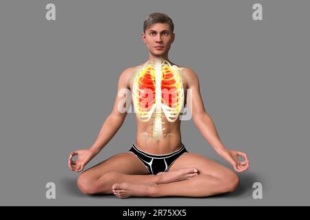 Atemregulation und Atmung beim Yoga, Computerdarstellung. Anatomie der Lotus-Yoga-Position oder Padmasana. Erholung und Prävention von Covid-19 Stockfoto