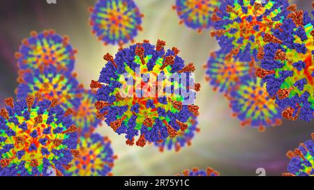 Masern Virus Partikel, computer Abbildung. Dieses Virus aus der Gruppe der Viren Morbillivirus, besteht aus einem RNA (Ribonukleinsäure) Core umge Stockfoto