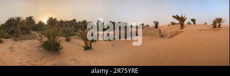 Der Igrane-Garten in der Nähe von Merzouga, einer landwirtschaftlichen Oase, die langsam vom Wüstensand geblasen wird, Erg Chebbi in Marokko Stockfoto