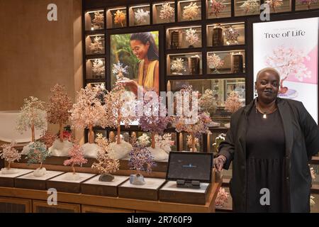 Ein Mitarbeiter im Karma & Luck Store, einer „spirituell-orientierten modernen Lifestyle-Marke“ auf der Ebene der Halle der Grand Central Station in Midtown Manhattan. Stockfoto