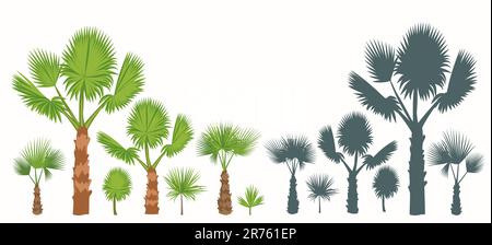 Blütenpalmen, Blätter und ihre Silhouetten auf weißem Hintergrund isolieren. Stock Vektor