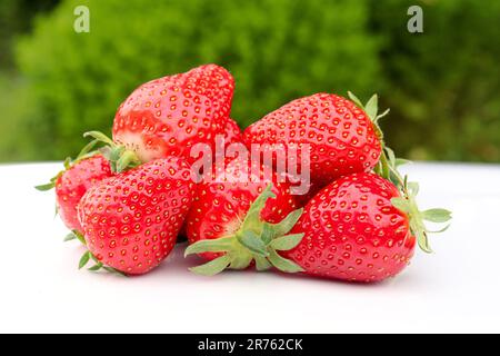 Viele rote Erdbeeren auf einem weißen Tisch und unscharfer grüner Hintergrund Stockfoto
