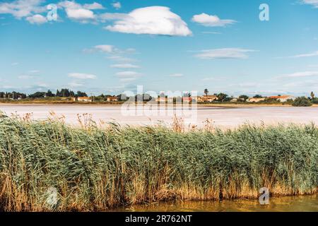 Aigues-Mortes, Salins du Midi, farbenfrohe Landschaft mit Salzwiesen Stockfoto