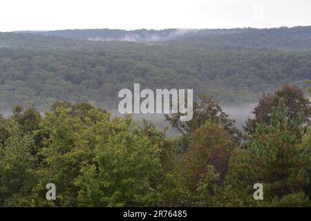 Blick von einer Hütte Veranda, beobachten Sie den Nebel, der aus den Tälern und dem Buffalo River in den Arkansas Bergen aufgeht. Stockfoto