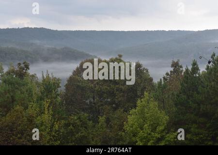 Blick von einer Hütte Veranda, beobachten Sie den Nebel, der aus den Tälern und dem Buffalo River in den Arkansas Bergen aufgeht. Stockfoto