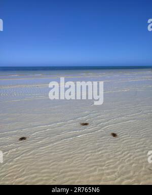 Ein malerischer Blick auf einen Strand in Mexiko mit kristallklarem Wasser und azurblauem Himmel im Hintergrund Stockfoto