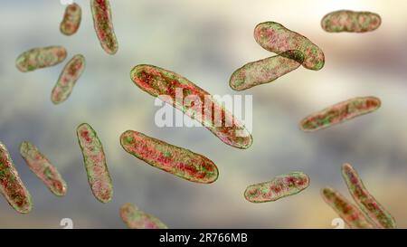 Bakterien Sphingomonas, Computerdarstellung. Gramnegatives, stabförmiges, aerobes, chemoheterotropes Bakterium. Es ist gelb-pigmentiert, nicht-fermenti Stockfoto