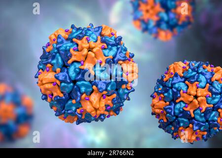 Polioviruspartikel, Computerdarstellung. Polioviruspartikel (Virionen) bestehen aus einer äußeren Proteinhülle (Kapsid), die RNA (Ribonuclein A) umgibt Stockfoto