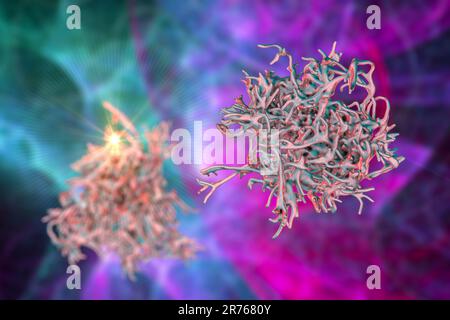 Amöbe, Computer-Illustration. Stockfoto