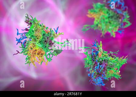 Amöbe, Computer-Illustration. Stockfoto