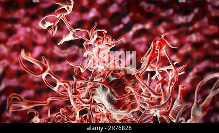 Amöbe, Computer-Illustration. Stockfoto