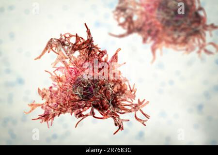 Amöbe, Computer-Illustration. Stockfoto