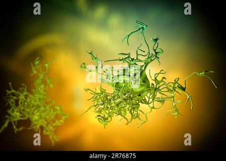 Amöbe, Computer-Illustration. Stockfoto