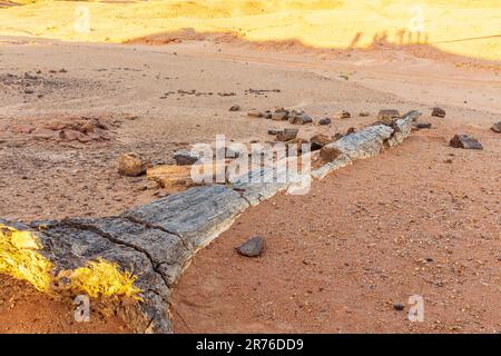 Der ganze versteinerte Baumstamm liegt halb in der Wüste im sudan in der Nähe der barkal-Pyramiden in karima begraben Stockfoto