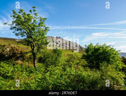 YR Eifl und die eiserne Bergfestung Tre'r Ceiri auf der Halbinsel Lleyn in Nordwales, Großbritannien Stockfoto