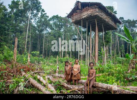 Nur wenige Leute sind Korowai-Stämme in der Nähe seines Hauses im Dschungel. Stamm der Korowai (Kombai, Kolufo). 10. Juni 2016 in Onni Village, Neuguinea, Indonesien Stockfoto