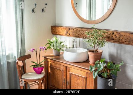 Badezimmer mit moderner Ausstattung und rustikalen Elementen und Zimmerpflanzen Stockfoto